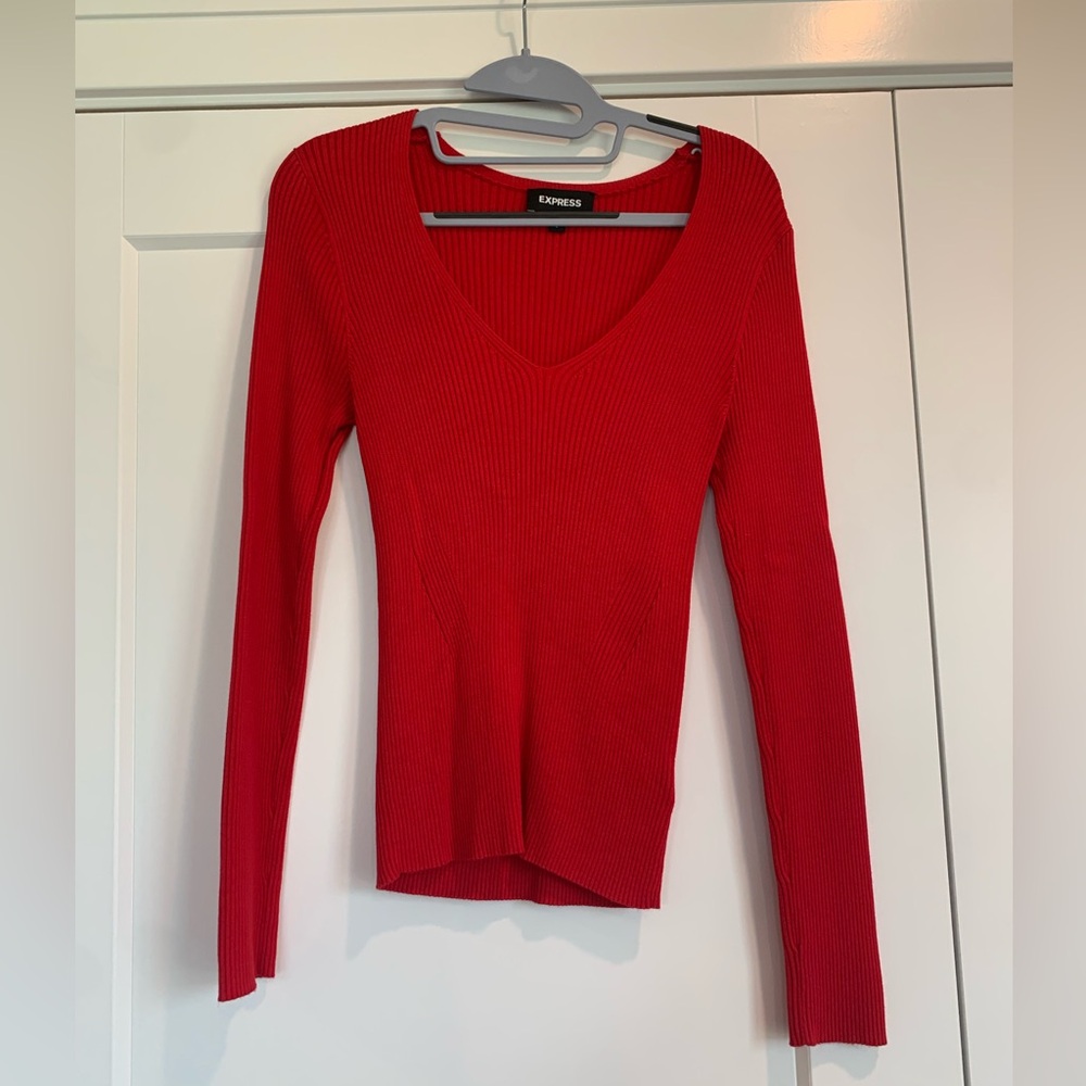 Red Express Fitted Vneck Sweater